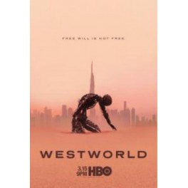 Westworld (3ª temporada) - DVD